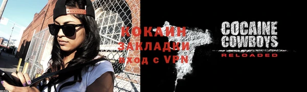 ПСИЛОЦИБИНОВЫЕ ГРИБЫ Осинники