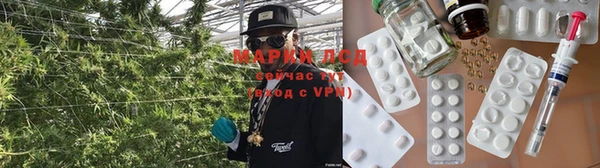 твердый Алзамай