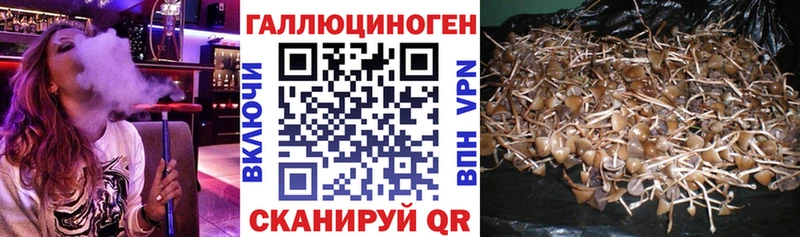 blacksprut онион  Покачи  Галлюциногенные грибы ЛСД  закладка 